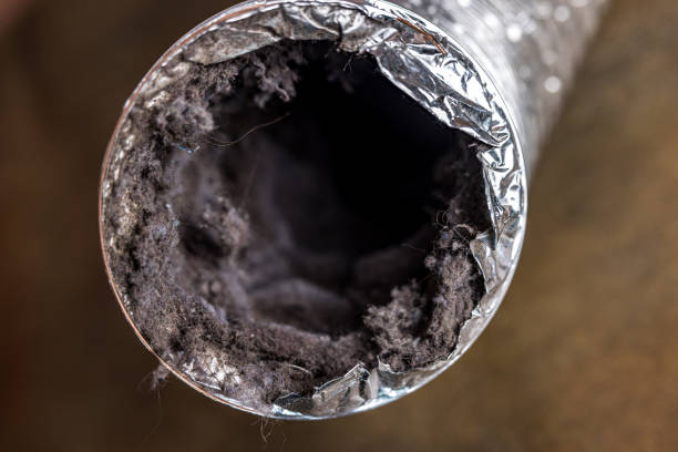 Best Air Duct Sanitizing Services  in Fruitdale, CA